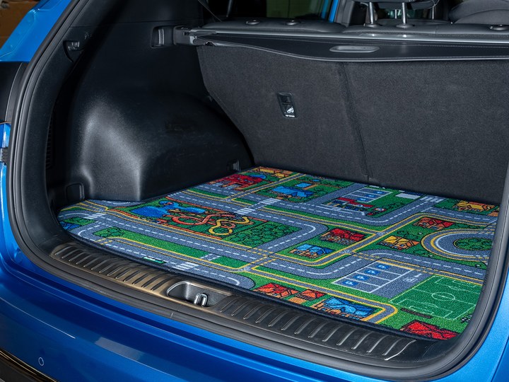 Toy Town Boot Mat sample