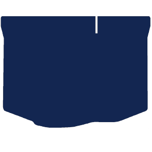 Ford Fiesta Mk7 2009-2017 Boot Mat